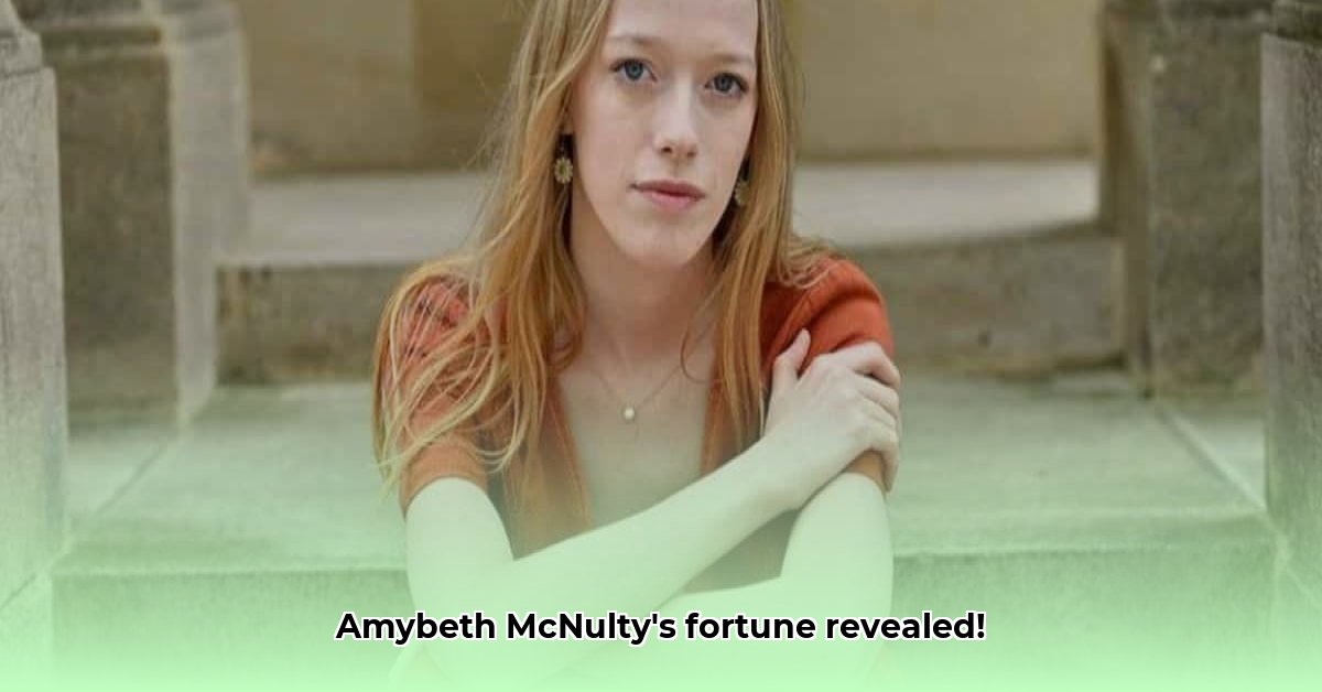 amybeth mcnulty net worth